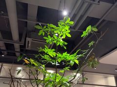 -农畉LONFOOD(万象天地店)