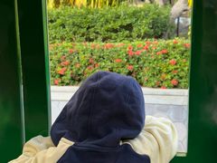 -味餐厅·海鲜·火锅·自助餐