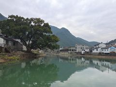 -鹿亭中村