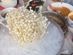 -大舜国风· 和牛火锅(绮霞街店)