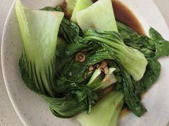 -正正文志记猪什汤