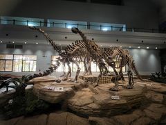 -自贡恐龙博物馆