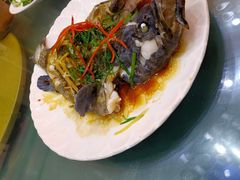 清蒸石斑鱼-覃记海鲜美食餐厅