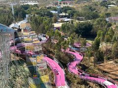 -盈香心动乐园