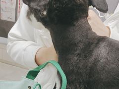 -中农国际动物医院24小时·猫科·骨科·急重症中心
