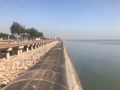 -东疆建设开发纪念公园