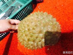 -都念榴莲·城市榴莲