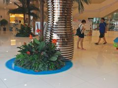 -南宫温泉水世界