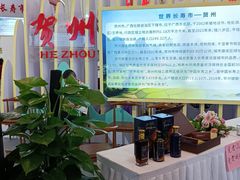 -南宁国际会展中心(会展东博文化旅游区)