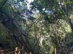 -大岭沟猕猴桃谷风景区