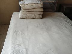 -延安杨家岭革命旧址