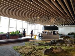 -Seesaw Coffee(朝阳大悦城店)