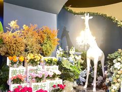 -狮拾久·现代新加坡料理(福田COCO Park店)