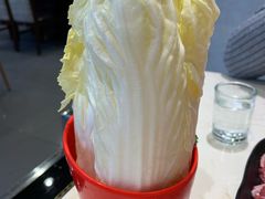 大白菜-老长春果木炭涮羊肉(东田·青年城店)