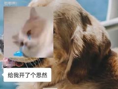 -重庆西南医院(西南院区)