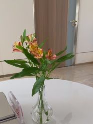 -韩辰医疗美容医院