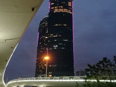 -演武大桥观景平台