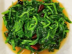 -菌海森林·非遗野生菌火锅(西山区滇池路摩根道店)