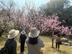 -江心屿景区