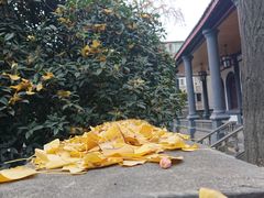-平安桥天主教堂