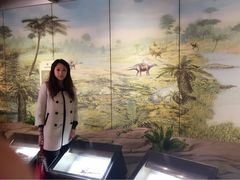 iphone_upload_pic-自贡恐龙博物馆