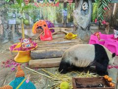-海南热带野生动植物园
