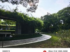 -红梅公园