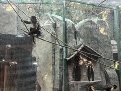 -长鹿旅游休博园