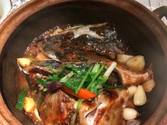 -大榕树下顺德菜(融创茂店)