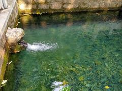 -四门塔风景区