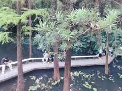-广州兰圃