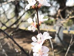 -白塘生态植物园