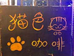 -猫色咖啡·猫咖