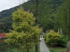 -广州市石门国家森林公园