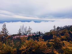 -富士山吉田線五合目