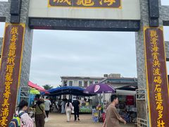 -硇洲岛旅游区