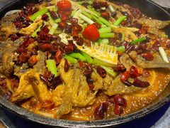 老板恋上鱼-老板恋上鱼(恒隆广场店)