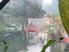 -大头椰·椰子鸡火锅(南宁万象城店)