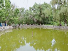 -清真·胖妈妈手抓餐厅(定西路长城宾馆店)