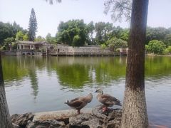 -东莞市可园博物馆