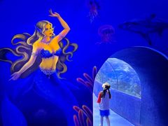 -左海海底世界