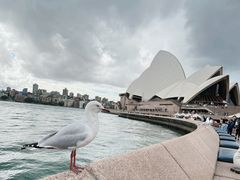 -悉尼歌剧院