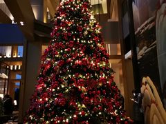 -大渔·观筵(三里屯太古里店)