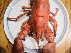 -77号渔船·蒸海鲜青岛菜(积米崖店)