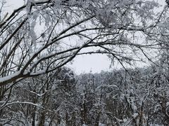 -九峰山