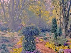 -上海共青森林公园