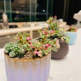 之前在网上看到一张图片后，就非常想去万豪感受一下下午茶