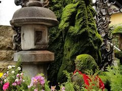 -Hōzen-ji Temple法善寺