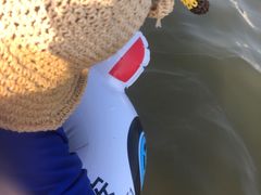 -青岛第一海水浴场