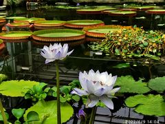 -国家植物园南园